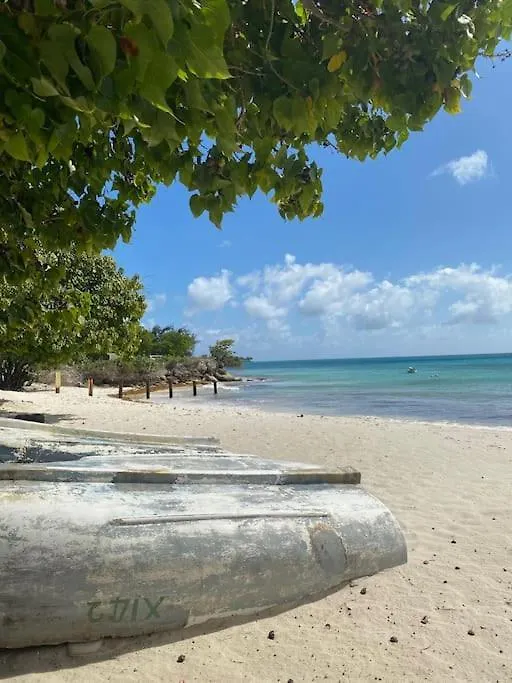 Private 3Br Tropical Paradise Near Oistins Christ Church Semesterbostad