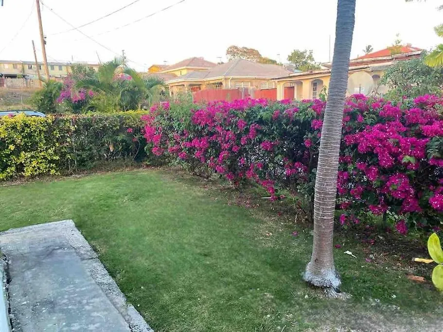 Private 3Br Tropical Paradise Near Oistins Christ Church